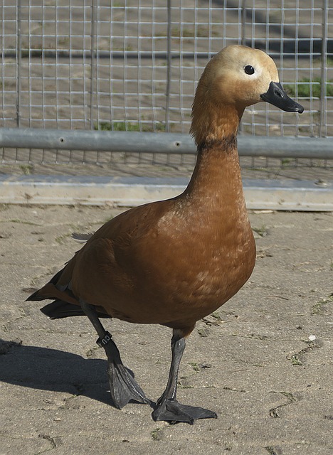 展望